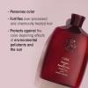 ORIBE Shampoo and Conditioner for Beautiful Color Bundle