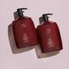 ORIBE Shampoo For Beautiful Color(Cote d’Azur)