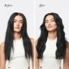 Oribe Hair Alchemy Resilience Shampoo(Shampoo & Masque Bundle)