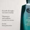 Oribe Priming Lotion Leave-In Conditioning Detangler – Moisturizing Detangler For Thick, Curly & Coarse Hair – Detangles, Prevents Breakage & Smoothes Hair – For All Curl Types – 8.5 oz(White)
